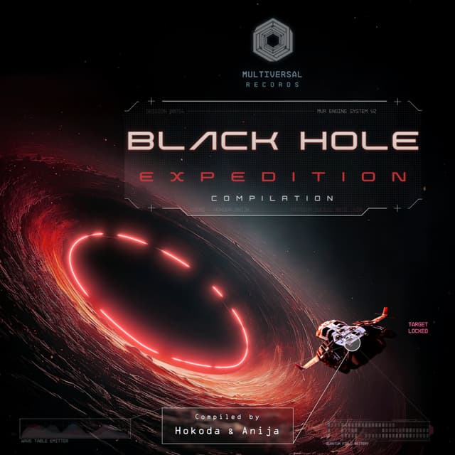 Black Hole Expedition